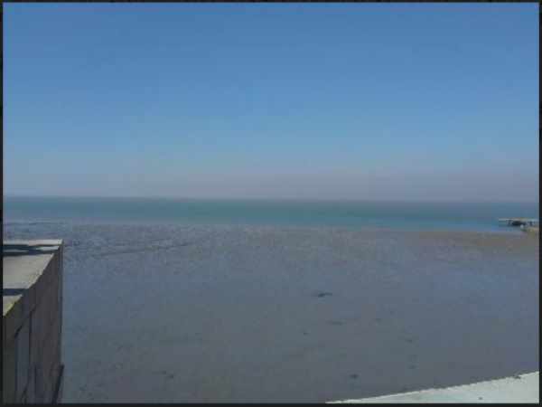 Pakistani goods found at the coast of Kutch, Gujarat