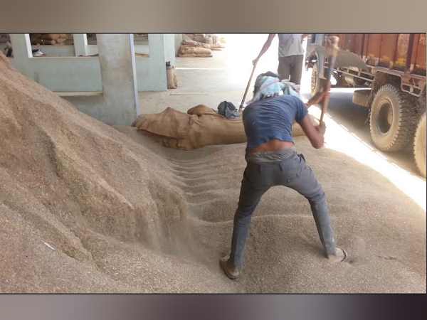 तंबाकू पर भी बडी टैक्स चोरी सामने आ रही