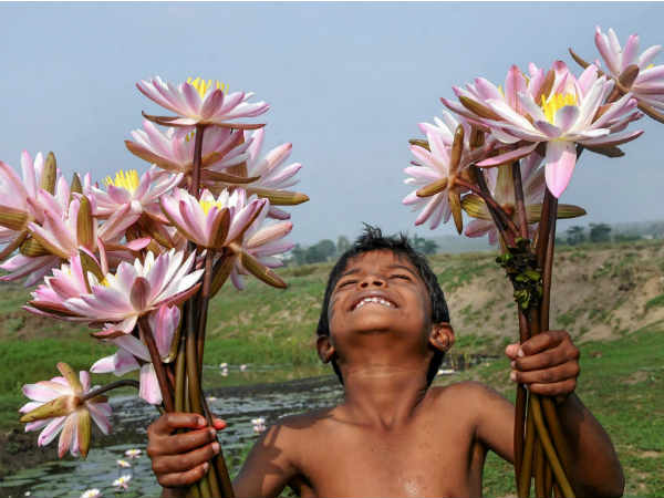 बेंगलुरु की 4 में से 3 पर जीत