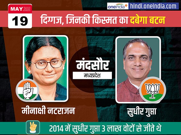 मंदसौर लोकसभा सीट