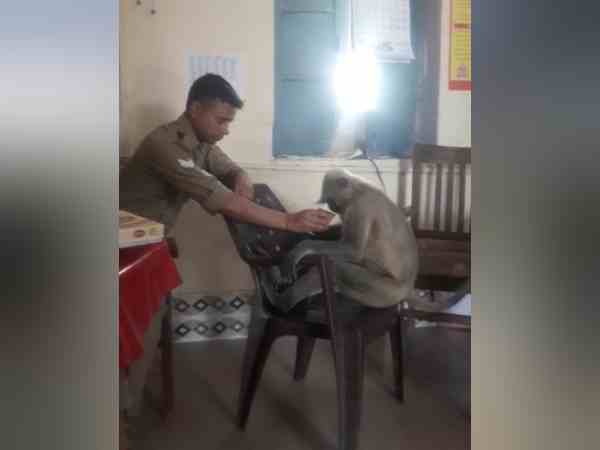 दावत के बाद छोड़ी कुर्सी