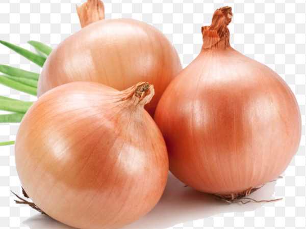 महाराष्ट्र और कर्नाटक ने दी चुनौती महाराष्ट्र और कर्नाटक ने दी चुनौती