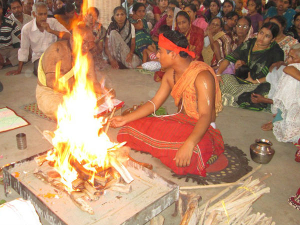 भद्रा फलम