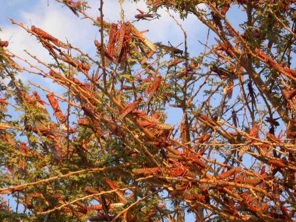 नेताओं ने भी जताई चिंता