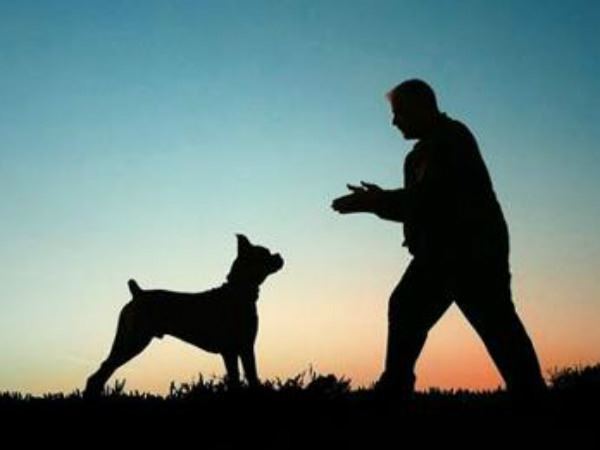 कुत्ते ने बचाई बच्चे की जान