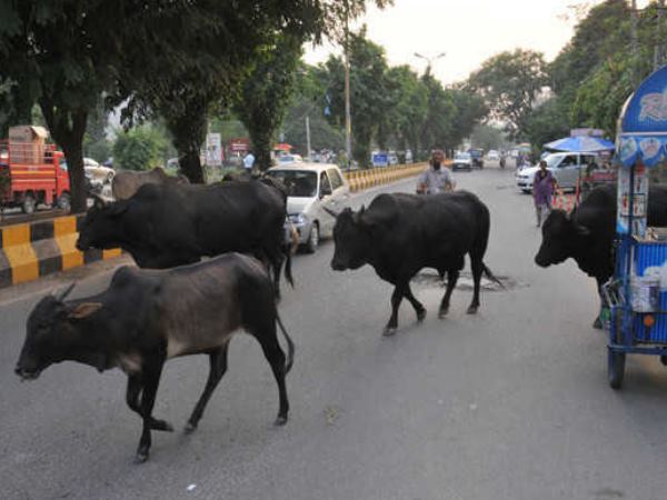परिवार के लोगों का रो-रोकर बुरा हाल परिवार के लोगों का रो-रोकर बुरा हाल