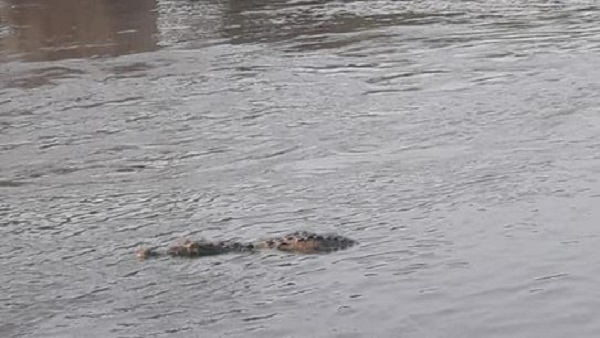 लोगों में दहशत का माहौल