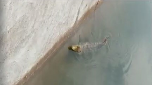 प्रशासन ने नहाने पर रोक लगाई है 