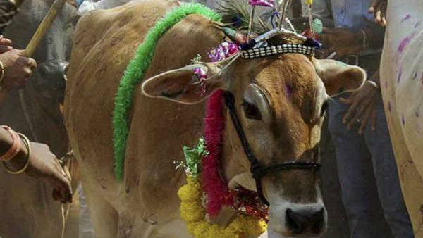 होली पर सांप्रदायिक हिंसा भड़काने का आरोप 