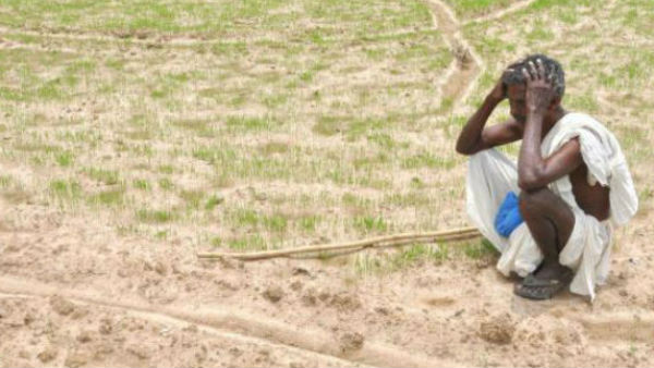 आधे से ज्यादा देशों में सूखा