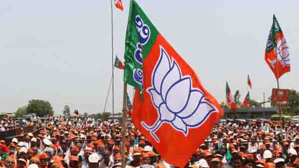 लोकसभा चुनाव में प्रचंड बहुमत मिलने की क्या वजह रही?