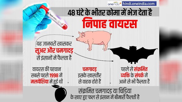 केरल में हुई निपाह की पुष्टि केरल में हुई निपाह की पुष्टि