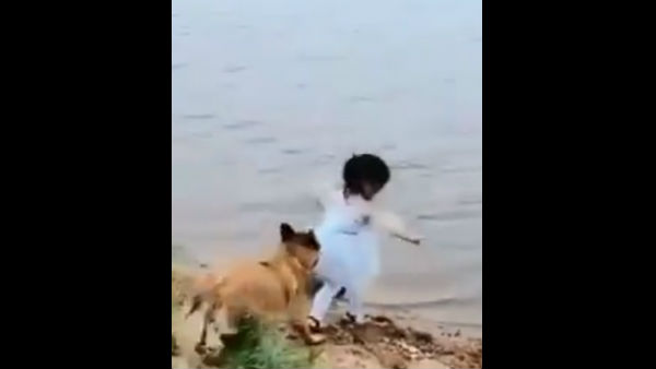 16 सेकेंड के वीडियो में मचाया तहलका