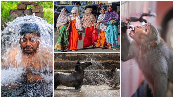 जारी है गर्मी का प्रकोप