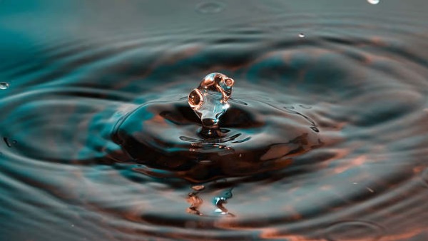 पानी के संरक्षण के लिए करेंगे व्यक्तिगत प्रयास