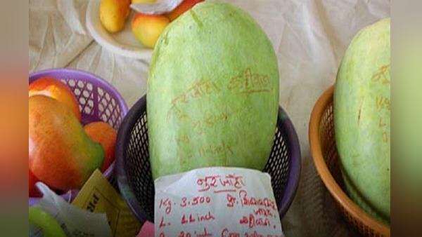 इन शहरों में हो रहीं सर्वाधिक एडवांस बुकिंग इन शहरों में हो रहीं सर्वाधिक एडवांस बुकिंग