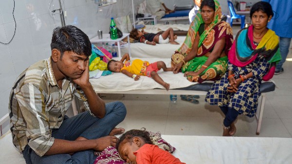 क्या इंसेफेलाइटिस की वजह लीची है ? क्या इंसेफेलाइटिस की वजह लीची है ?