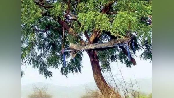 जमीन से 15 फीट ऊंचाई पर लटका है शव