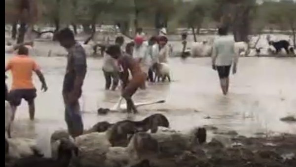 bus was stuck in a nallah in Bodiyana village of Chittorgarh