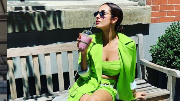  अर्जुन का बर्थडे मनाने न्यूयॉर्क पहुंचे हैं दोनों