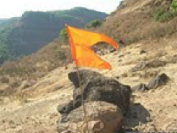 ध्वजा फहराने के लाभ