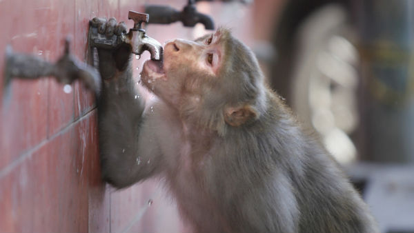 क्या है गर्मी का कारण 