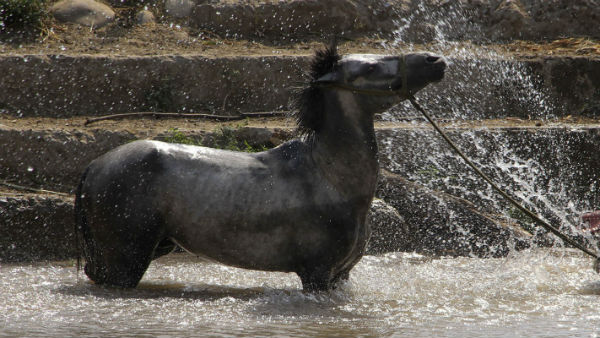 खुद का रखें ख्याल 