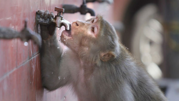 क्या है गर्मी का कारण 