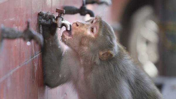 दिल्ली को मॉनसून के लिए करना होगा इंतजार 