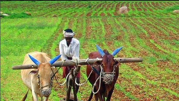 जानिए क्यों, सरकार अपनी बीमा कंपनी शुरू करने की तैयारी में 