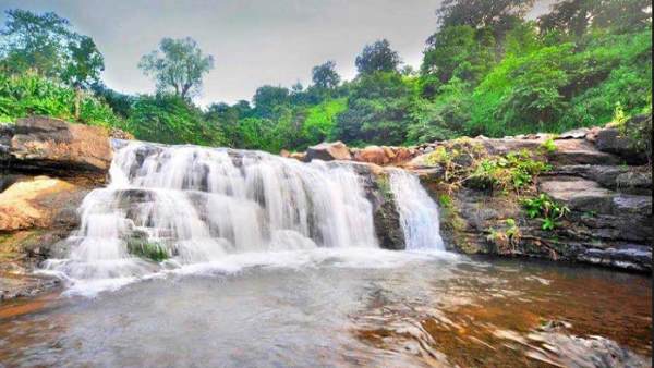 डिजिटल फ़ॉरेस्ट वर्ल्ड प्रोजेक्ट में अलग-अलग कमरे होंगे
