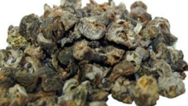 'नागकेसर' से पाइए इन रोगों में लाभ 'नागकेसर' से पाइए इन रोगों में लाभ