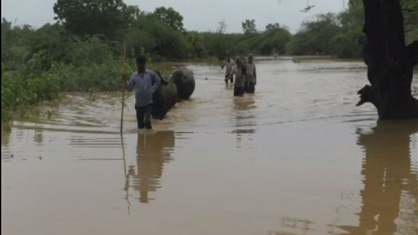 watch video: people face problems due to heavy rain in gujarat