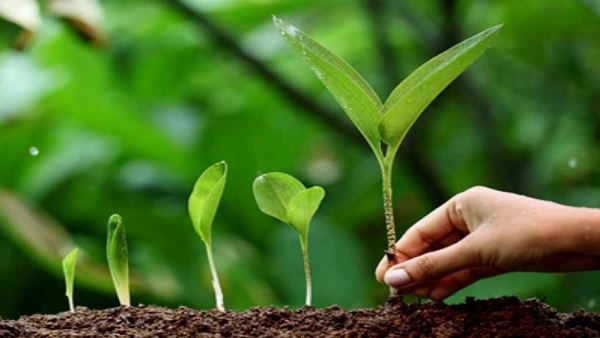 क्या है विश्व पर्यावरण दिवस 2019 की थीम?