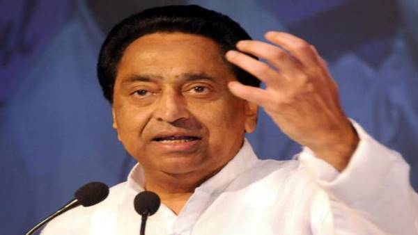 चारे के लिए संचालक को प्रति गाय मिलेगा 20 रुपए अनुदान