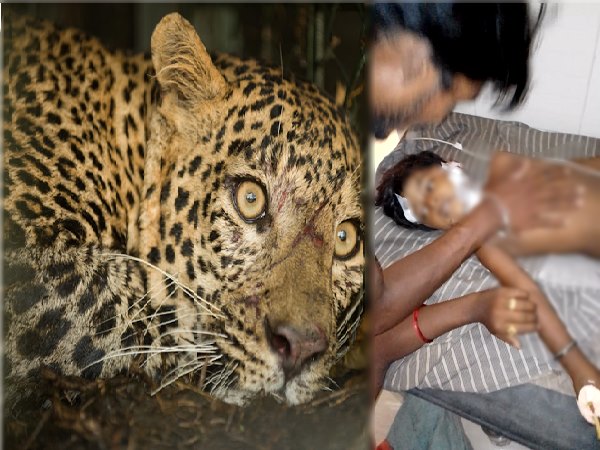 घायल बच्ची को हॉस्पिटल ले जाया गया