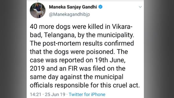 बीमार कुत्ते का इलाज करवाया