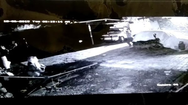 यहां गांवों में आते रहते हैं शेर