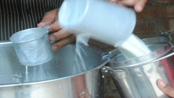 गाय के दुध और अन्य उत्पादों की सरकार करेगी मार्केटिंग