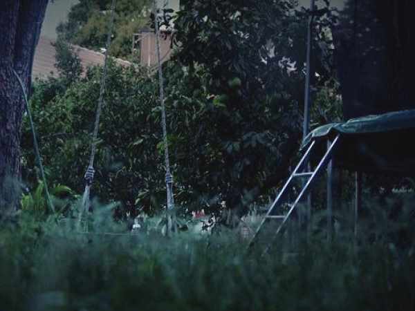 कांग्रेस पार्टी से जुड़ा शख्स है हत्या का आरोपी 