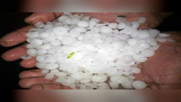 लक्ष्मणगढ़ में ओले गिरे