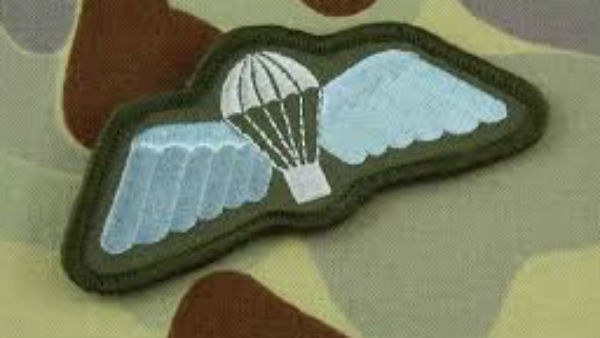 पैरा-विंग्स पैरा-विंग्स