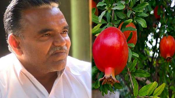 7 सर्वश्रेष्ठ किसान पुरस्कार आ चुके हैं इस विकलांग की झोली में 7 सर्वश्रेष्ठ किसान पुरस्कार आ चुके हैं इस विकलांग की झोली में