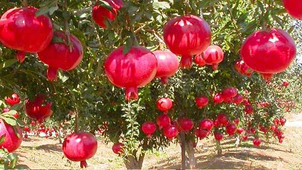 ''अवॉर्ड लेते समय मेरी खुशियों का ठिकाना नहीं था'' ''अवॉर्ड लेते समय मेरी खुशियों का ठिकाना नहीं था''