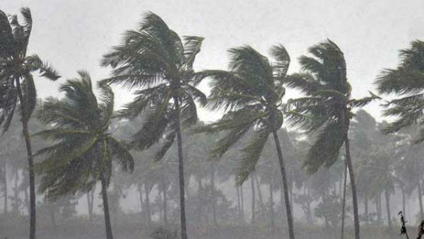 मॉनसून की पहली वर्षा में सूखा पड़ने की आशंका