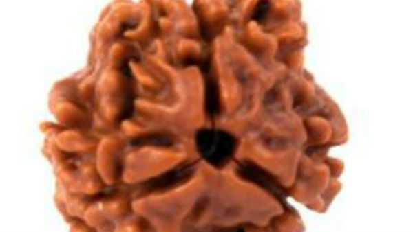 क्या सावधानियां रखें