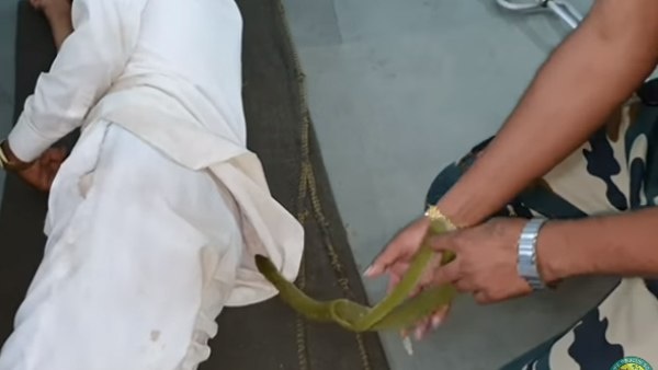 सांप पकड़े जाने के दौरान भी सोया रहा शख्स सांप पकड़े जाने के दौरान भी सोया रहा शख्स