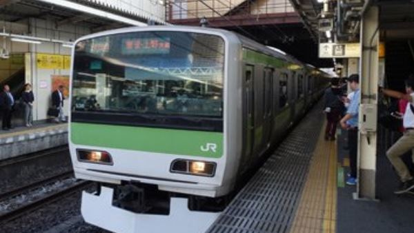 कीड़े ने इलेक्ट्रिक डिवाइसेज को पहुंचाया नुकसान