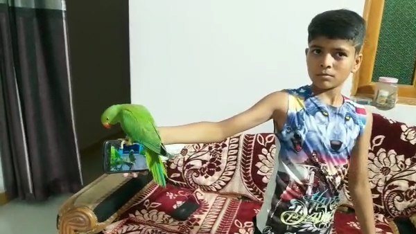 मोबाइल ना दो तो चिल्लाता है