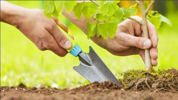 जिलाधिकारी ने लागु किया नया नियम